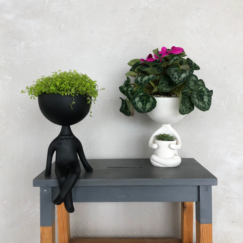 Designer flower pot Kelly Flowers 